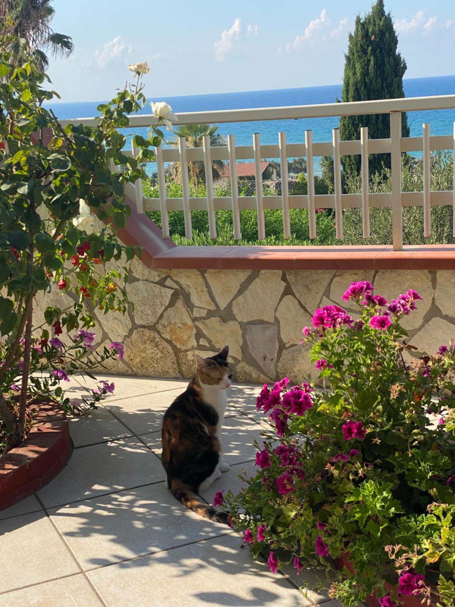 Villa Mare Giuggiola Alcamo Marina Exterior foto